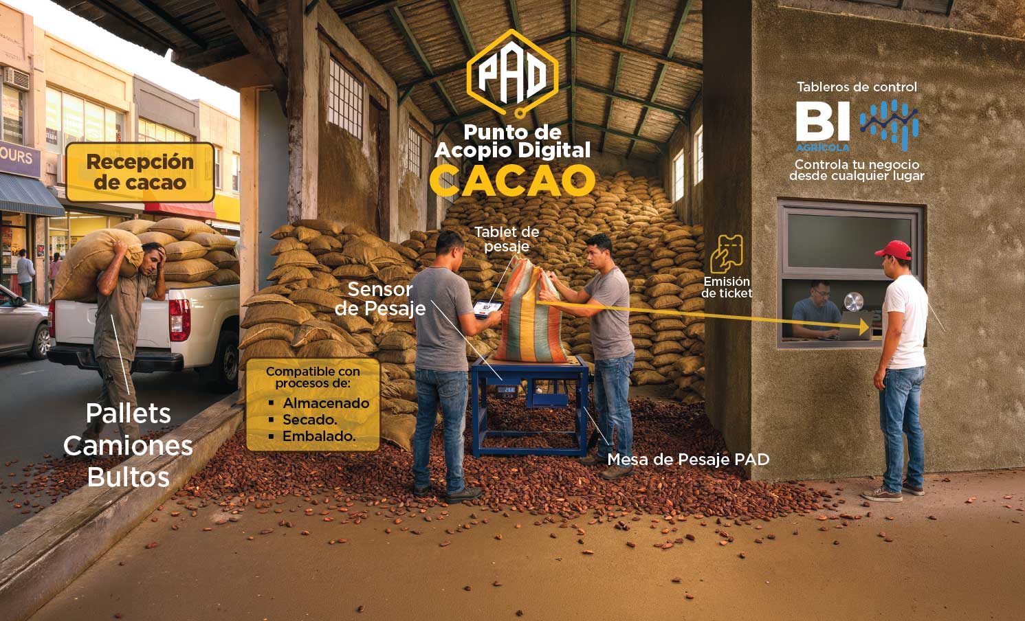 Consideraciones críticas para acopios de cacao en Ecuador 2026