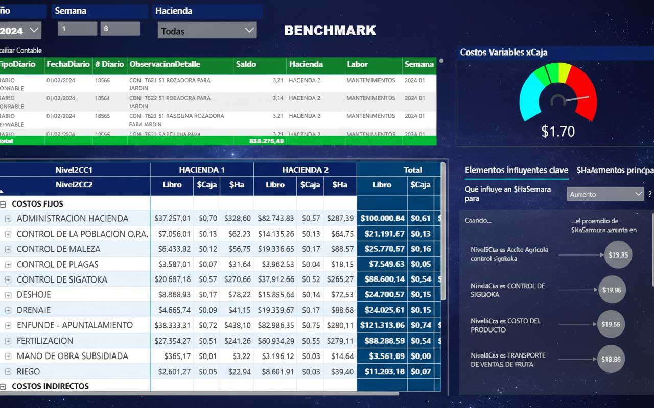 Business Intelligence en accion