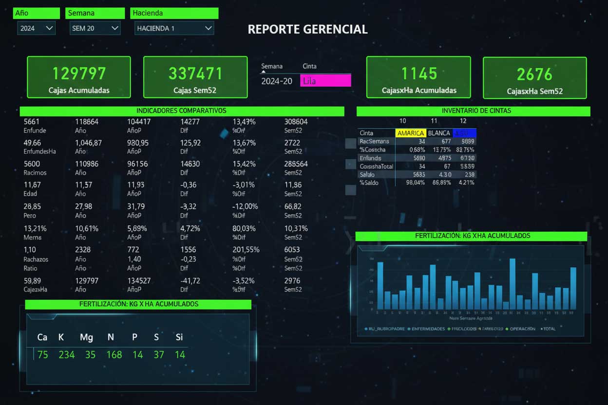 Dashboard BigData 3