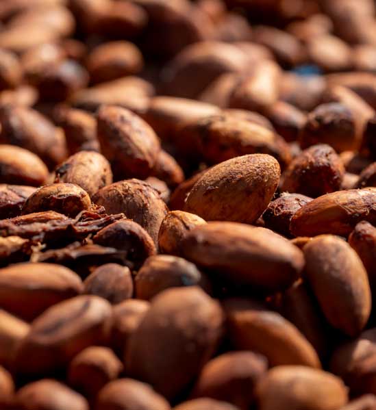 Industria de Cacao