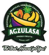 AGZULASA