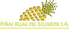 Piñas Ricas