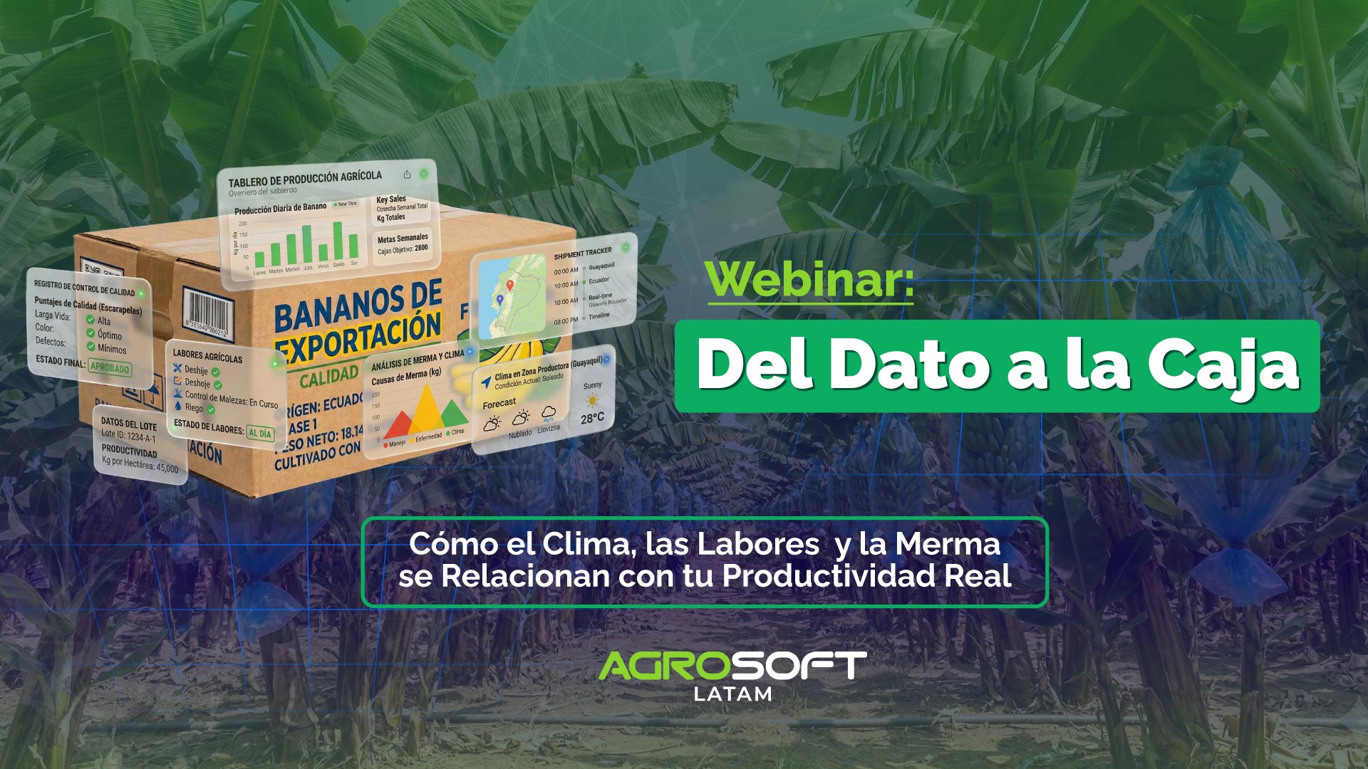 Del Campo al Dato II: Clima, Labores y Merma